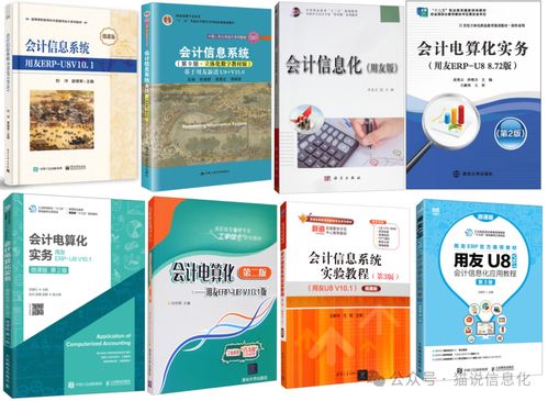 從專業書籍視角，洞察國內外ERP軟件廠商的生態差異與互聯網銷售影響